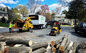 Best Arborist Consultation Services  in Countryside, VA