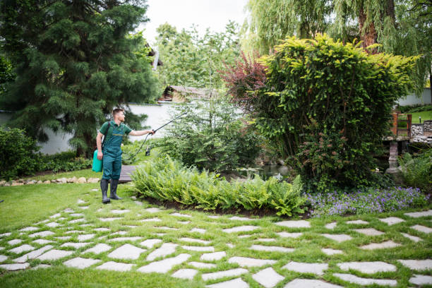 Best Lawn Watering Services  in Countryside, VA