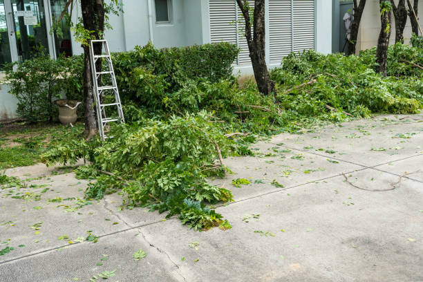 Best Commercial Tree Services  in Countryside, VA